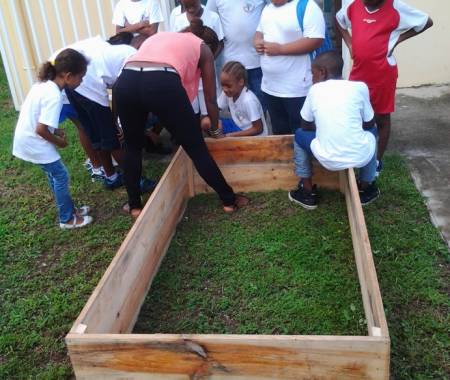 Initiation au jardinage dans une école