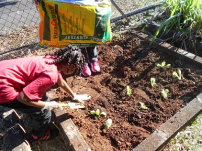 Initiation au jardinage dans une école