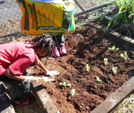 Initiation au jardinage dans une école